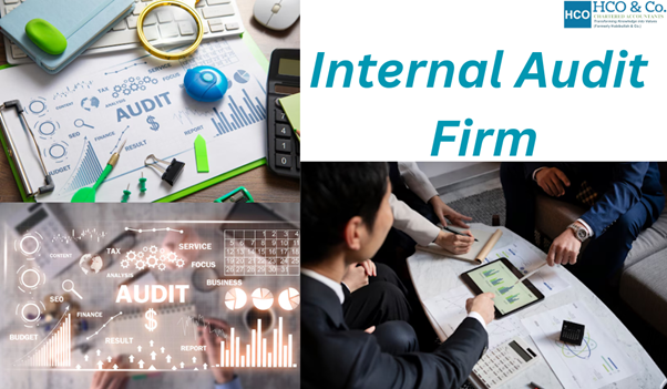  Internal Audit Firms in India